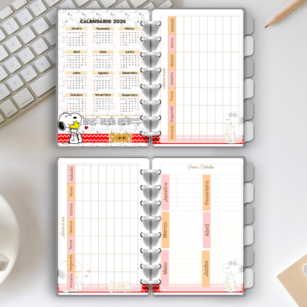 CADERNO DE DISCO SNOOPY