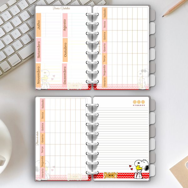 CADERNO DE DISCO SNOOPY