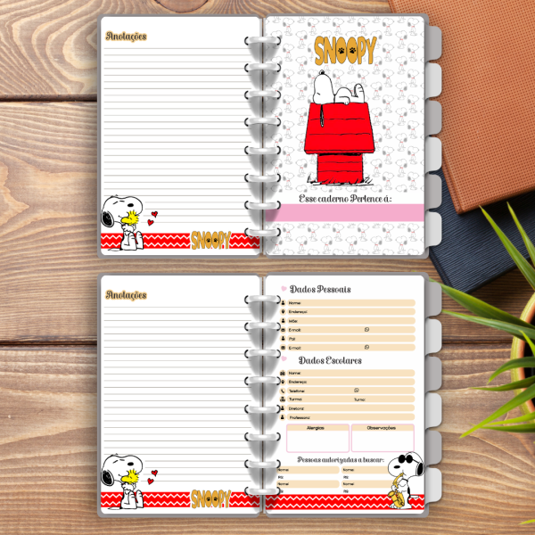 CADERNO DE DISCO SNOOPY