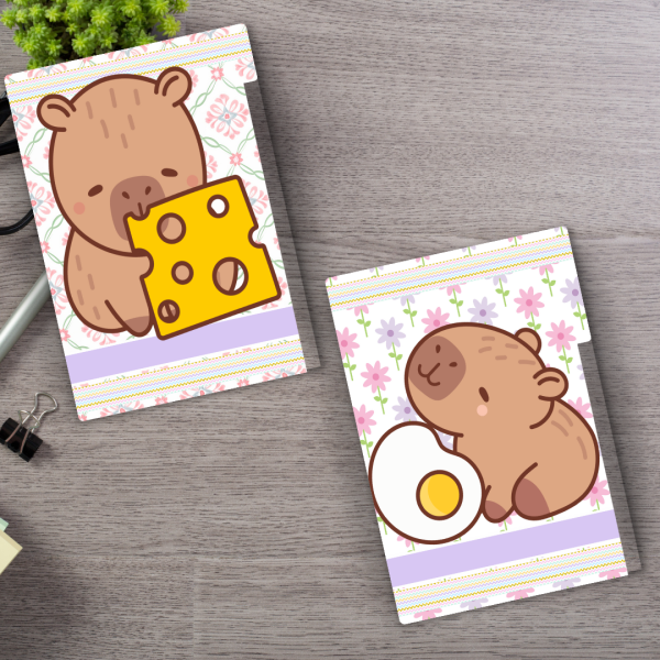 Caderno de disco Capivara