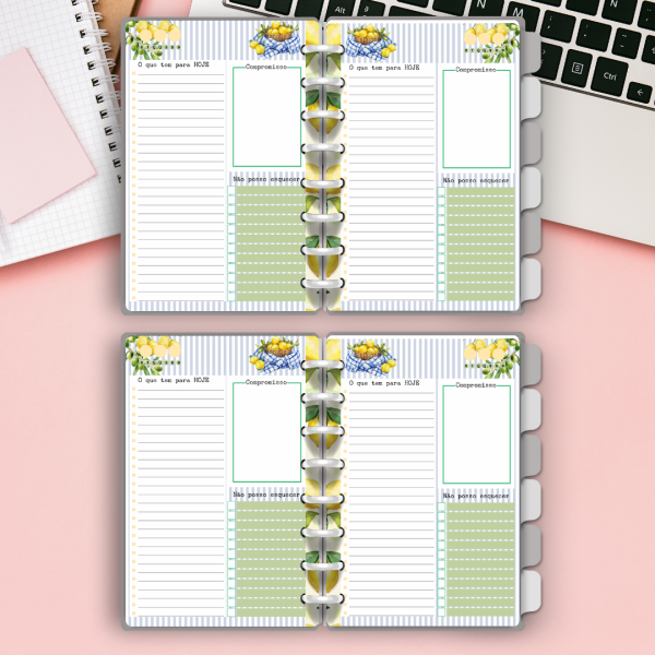 Caderno de Disco Mediterrâneo