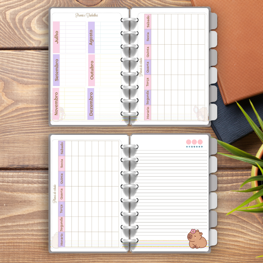 Caderno Capivara 6 Matérias (A5 ou Universitário) | Perfumado + Marcador