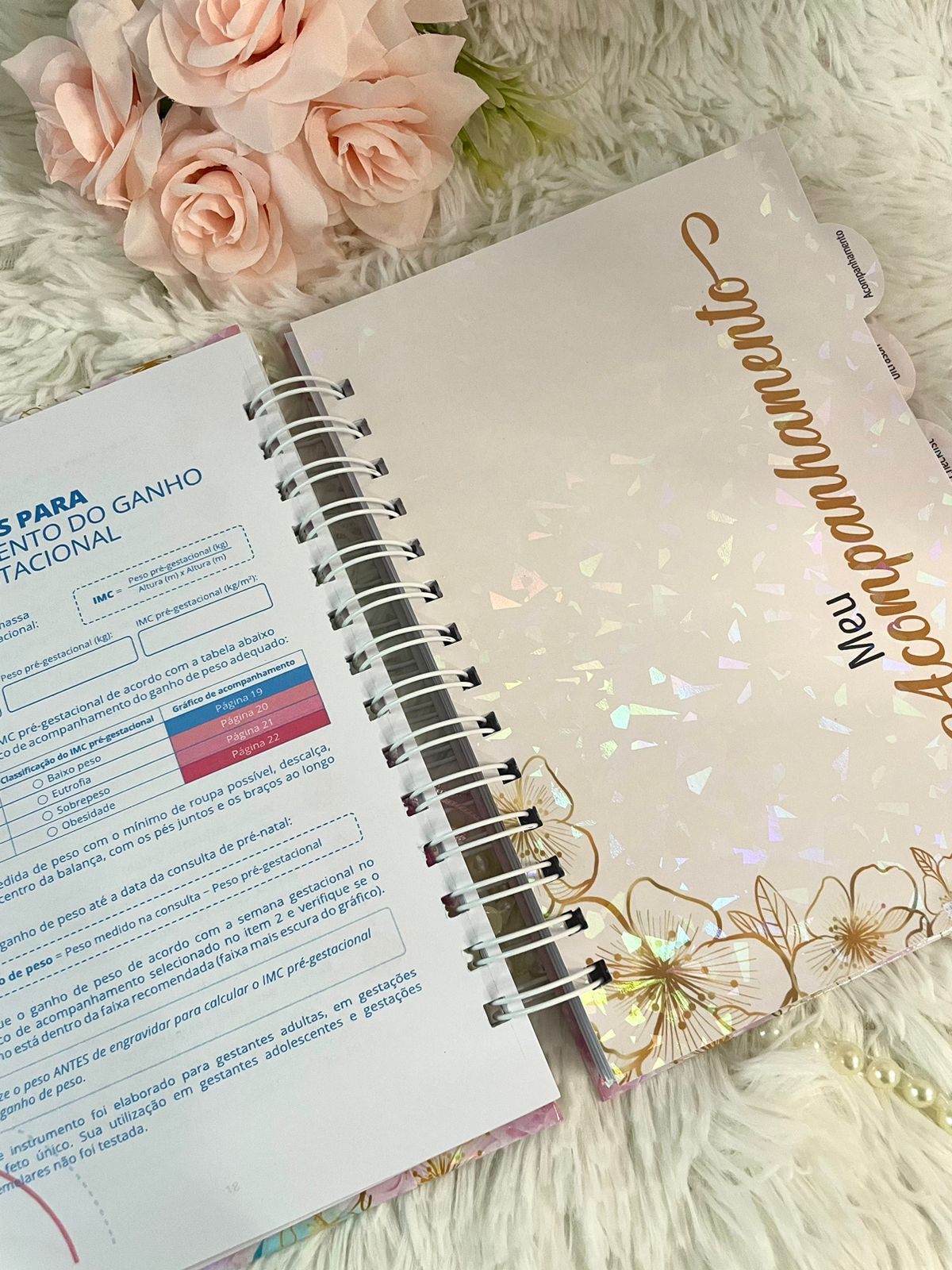 Caderneta da Gestante Personalizada (Diário de Gravidez) - Opções de Kits de Luxo com Caneca