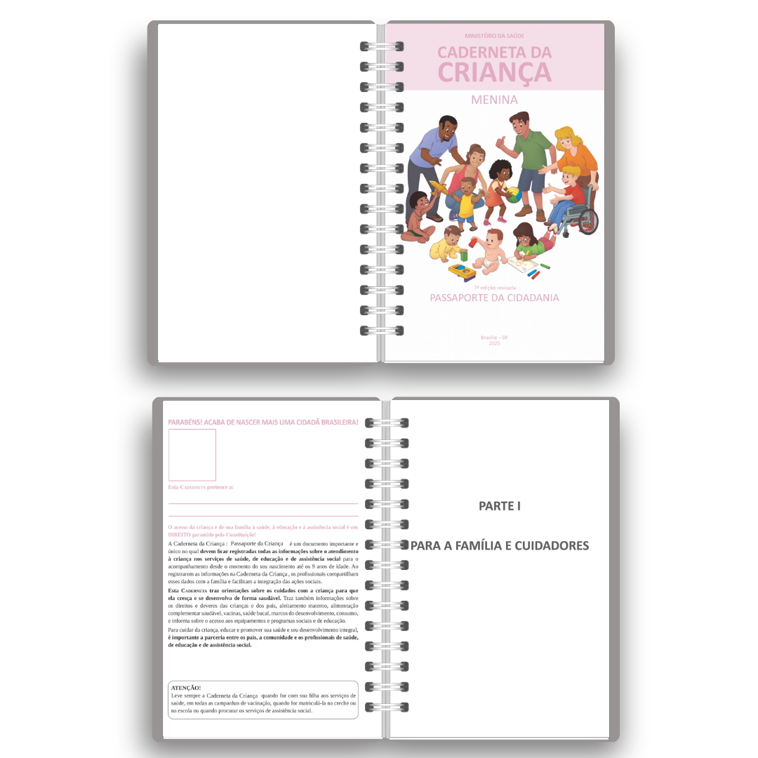 Caderneta de Vacinação Personalizada | Tema Ursinho Aviador (Encadernação Wire-o)