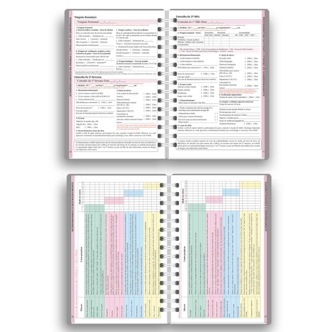 Caderneta de Vacinação Personalizada | Tema Ursinho Aviador (Encadernação Wire-o)