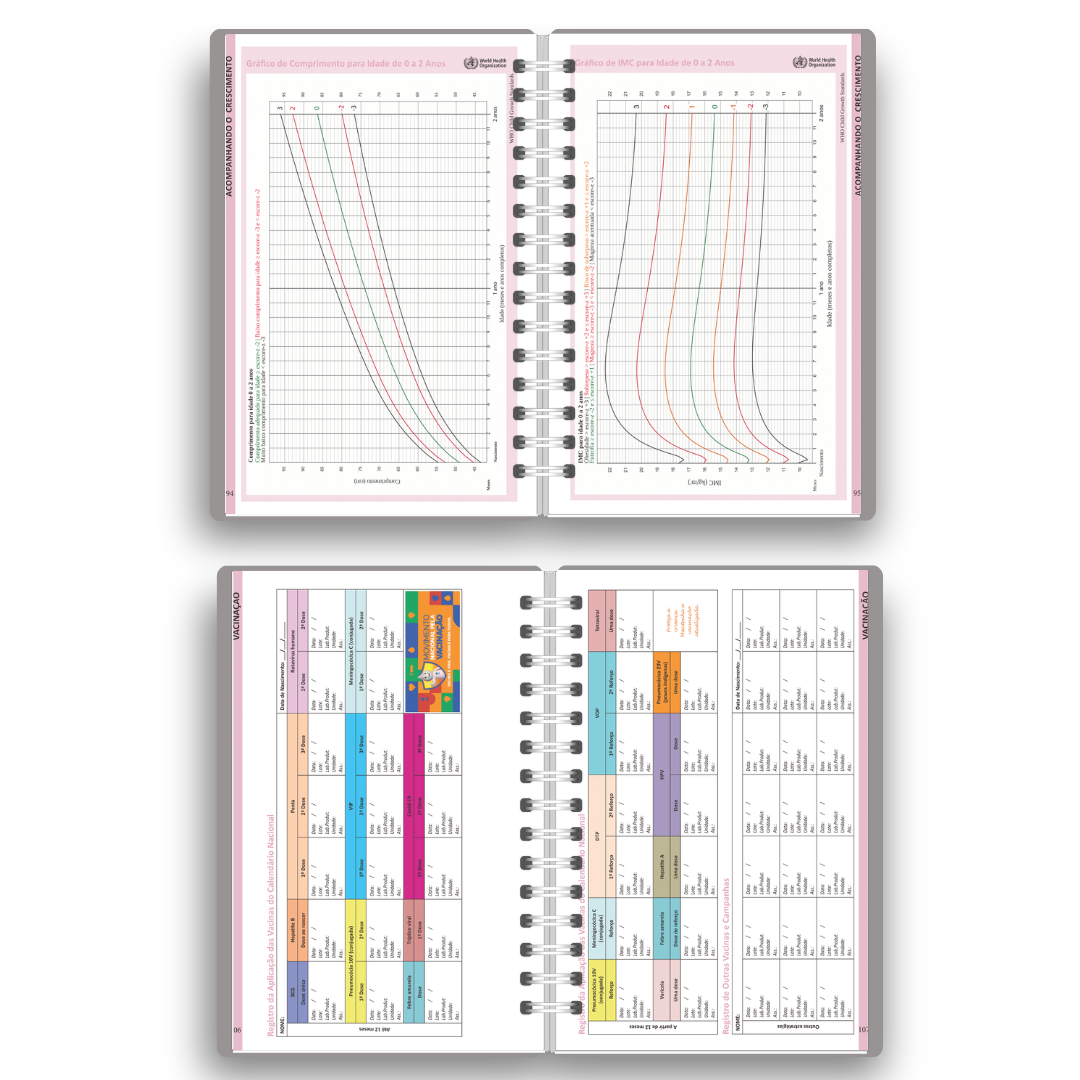 Caderneta de Vacinação Personalizada | Tema Ursinho Aviador (Encadernação Wire-o)