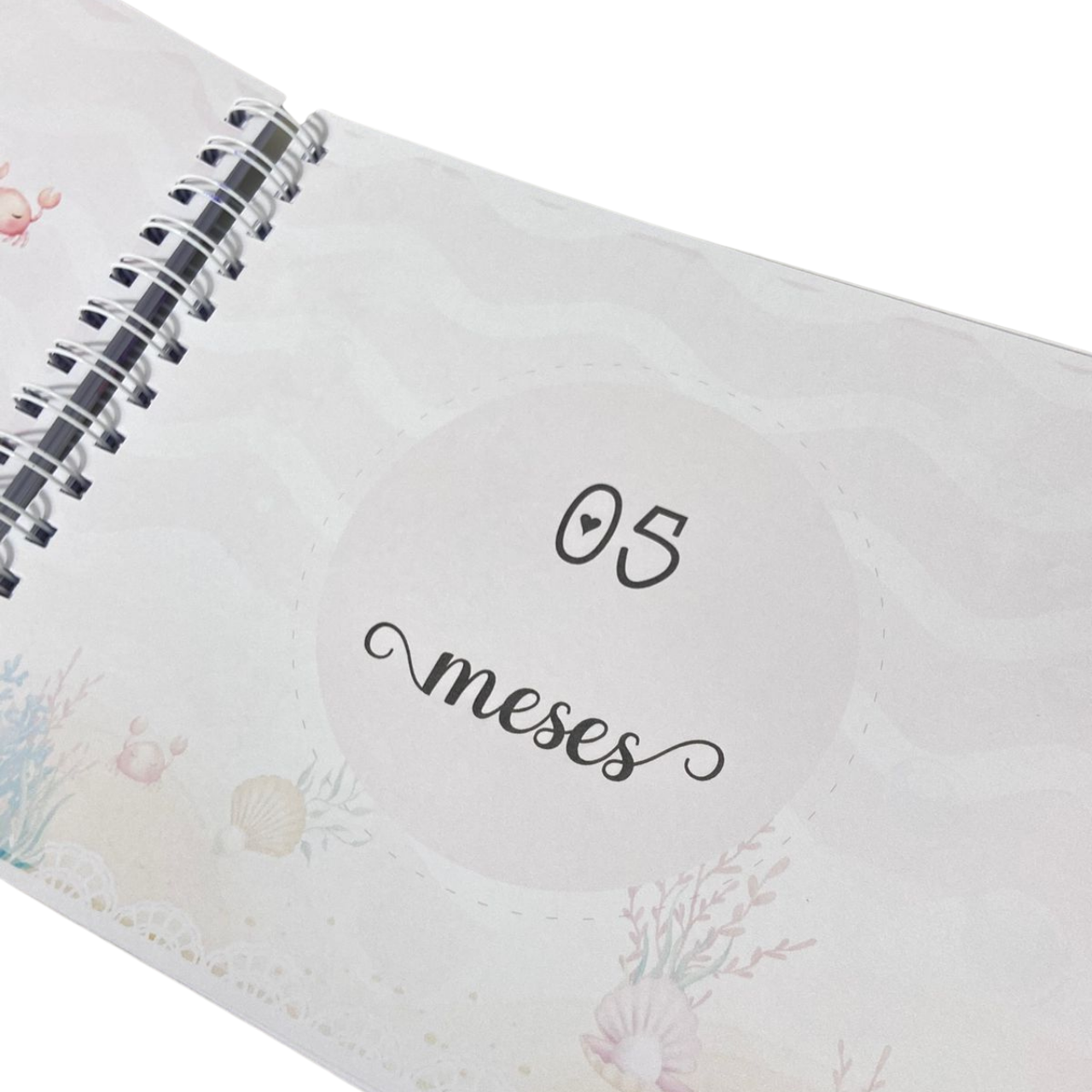 Livro Mesversário Fundo do Mar