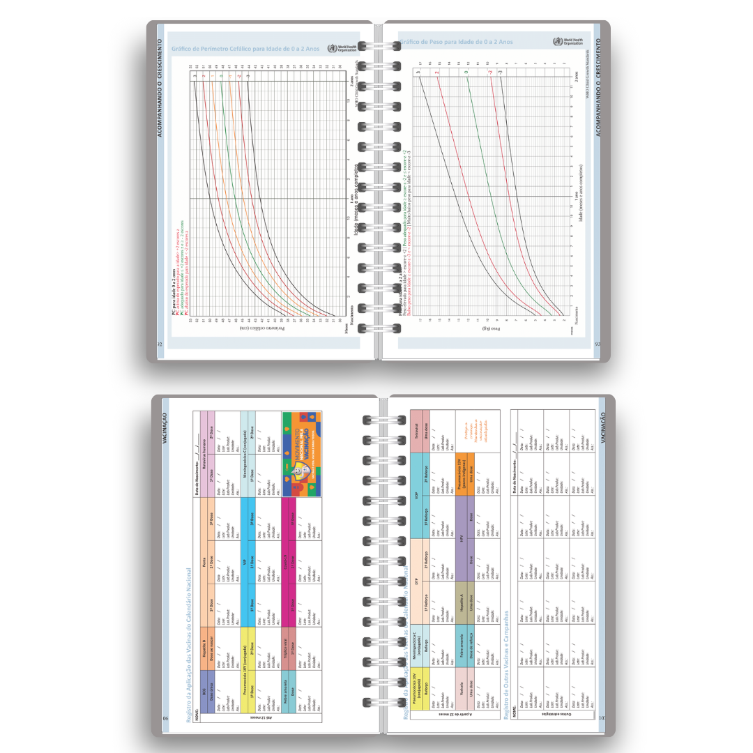 Caderneta de Vacinação Brochura (Tipo Livro) | Coleção "Mini Floral 2: Jardim das Borboletas" (3 Opções de Capa)